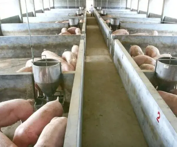 猪场臭气监测方案缩略图