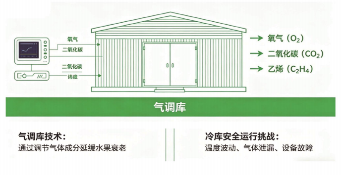 智慧冷库乙烯二氧化碳监测管理系统解决方案插图 智慧冷库乙烯二氧化碳监测管理系统解决方案插图